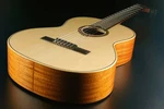 Lag OC88 Classical Guitar With Case, 4/4, Nylon Strings. Fixed Price $843.50.