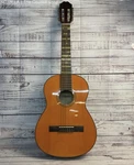 Tanara Classical Acoustic Guitar TC-34 Nt With Letter Stickers. Fixed Price $47.51.