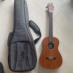 Cordoba 20BM Baritone With Case. Fixed Price $403.10.