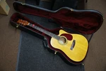 Player JB-EA-20 Acoustic Electric Guitar With Hard Case Used Local Pickup. Fixed Price $300.00.