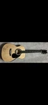 Dasha Austin Rising Country Music Singer Autographed Full Body Acoustic Guitar. Fixed Price $499.99.