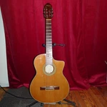 Washburn 104 Sce Classical Acoustic Electric Cutaway Guitar With Hard Case. Fixed Price $290.00.