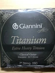 Giannini Titanium Series Classical Guitar 7TH String .060 Extra Heavy Tension. Fixed Price $7.99.
