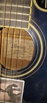 Ibanez Acoustic-electric Guitar DTMETBL1201 AEQ201 6 String Blue. Fixed Price $159.00.