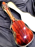 Godin Summit S-1588 Classical Guitar, Mint Braziliian Rosewood + Case. Fixed Price $1999.00.