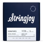 Stringjoy Signatures Nickel Wound Electric Guitar Strings; Drop Tune 11-58. Fixed Price $14.99.