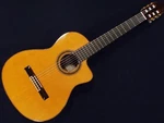 Jose Antonio NO.6CE Electro-classical Guitar (cutaway) Solid Cedar Top. Fixed Price $1599.00.