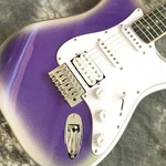Silver Grey Burst 6STRINGS Solid Body Electric Guitar For Beginners 22FRETS. Fixed Price $199.00.