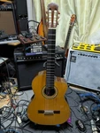Classical Electric Acoustic Guitar Takamine PTG015 Natural With Hard Case. Fixed Price $1032.00.