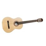 Cordoba CP100 Pack Classical Acoustic Nylon String Guitar, Prot Ser.... Fixed Price $321.17.