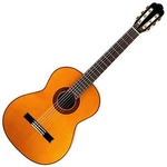 Aria Flamenco Guitar A-100F With Soft Case. Fixed Price $1496.79.