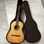 50 60 Gibson C-1 6-STRING Brown Classical Guitar Wood Body W/ Case. Fixed Price $1100.00.