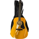 Silvertone SD3000PKN Right-handed Six String Acoustic Guitar. Fixed Price $99.99.