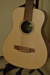 Lxm Little Travel Acoustic Guitar W/martin Gig Bag. Fixed Price $350.00.