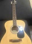 Savannah SGO-12-NA Dreadnought 6-STRING Spruce Top Acoustic Guitar Natural. Fixed Price $110.00.