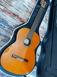 Vicente Carrillo Classical Guitar, Mod.gabriela Made In 2006, Brand New. Fixed Price $4890.00.