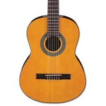 Ibanez GA3 Classical Acoustic Guitar - Open Pore Amber. Fixed Price $159.99.