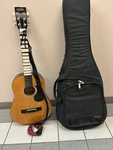 Castilla CS-30 Guitar & Access Case. Fixed Price $33.05.