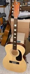 1970'S Silvertone Acoustic Guitar S1214 Sears And Roebuck. Fixed Price $249.99.