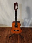 Vintage Regal Guitar Model Rgc 44. Fixed Price $99.99.