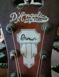 D'angelico Premier Lafayette Acoustic-electric Guitar. Fixed Price $185.00.