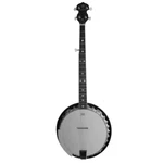 Danville BJ30 - Banjo. Fixed Price $399.95.