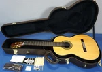 Takamine H8SS Hirade Series Classical Guitar - Natural Gloss 2019 Mint. Fixed Price $1350.00.