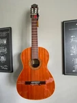 Esteve 1GR01 Classical Guitar With Nylon String Pickup, Gig Bag. Fixed Price $450.00.