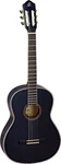 Ortega Guitars R221SNBK Family Series Slim Neck Nylon 6-STRING W/ Free.... Fixed Price $349.99.
