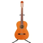 Raimundo Classical GUITAR/118C Acoustic. Fixed Price $502.99.