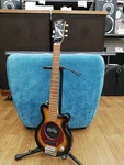 Pignose PGG-200 Electric Guitar. Fixed Price $151.50.