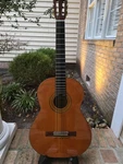 Hohner LC-60N Classical Guitar. Solid Wood Low 2MM Action 12TH. Fixed Price $275.00.
