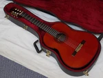 Augustino Loprinzi Cl-a Classical Guitar String Usa Made Brazilian Rosewood. Fixed Price $7249.00.
