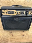 Peavy E110 Electric Guitar Amplifier. Fixed Price $250.00.