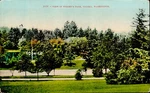 CE4271 View Wright Park Tacoma Washington Usa. Fixed Price $12.00.