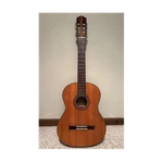 Ariana A480 Classical Guitar 6-STRING Right-handed Brown Wood 4/4 W/ Hard Case. Fixed Price $125.00.