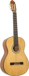 Peavey Delta Woods CNS-1 Classical Nylon String Guitar. Fixed Price $199.99.