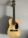 Synsonics FG907SG 7/8 Size Classical Guitar. Fixed Price $75.00.