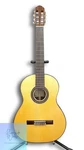 Aria Classical Guitar A-50S. Fixed Price $538.27.