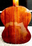 Lyle C-640 Acoustic Classical Guitar Nice "exotic Solid Coral Rosewood" + Case. Fixed Price $499.00.