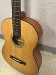 Fender ESC-105 Classical Acoustic Guitar + Soft Case Great Condition!!!. Fixed Price $184.99.