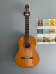 Chateau 6-STRING Acoustic Guitar C08-FCM, Classic Series. Fixed Price $350.00.