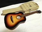 Luna Safari Tribal Tobacco Sunburst Acoustic Electric Travel Guitar W/padded Bag. Fixed Price $259.99.
