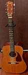 Fender DG-7 Guitar. Fixed Price $290.24.