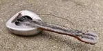 Bed Pan Guitar - Musical Instruments Great Conversation Starter. Fixed Price $150.00.