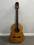 Vintage 1979 Giannini Awn 71 Classical Acoustic Guitar Brazil Rosewood. Fixed Price $1000.00.