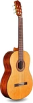 Cordoba C5 Nylon String Acoustic Guitar, Cedar,lefty. Fixed Price $439.00.