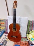 Classical Guitar Yamaha CG-160S Top Single Plate. Fixed Price $290.04.