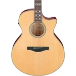 Ibanez AE170 Grand Auditorium Acoustic-electric Guitar Natural. Fixed Price $549.99.
