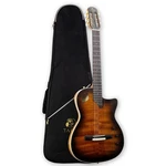 Silent Classical Guitar, Solid Flame Mahogany Top Body, 22 Frets. Fixed Price $299.99.
